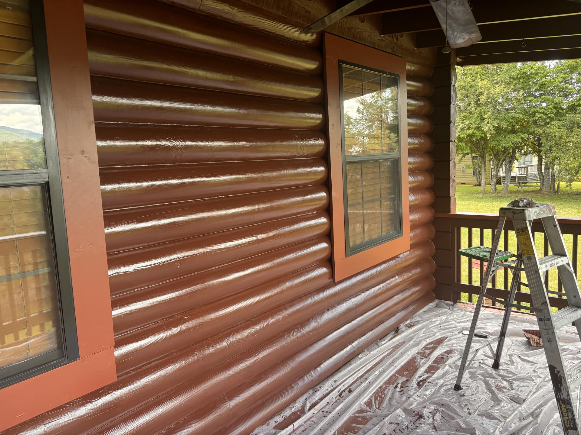 CABIN STAINING - Image 6