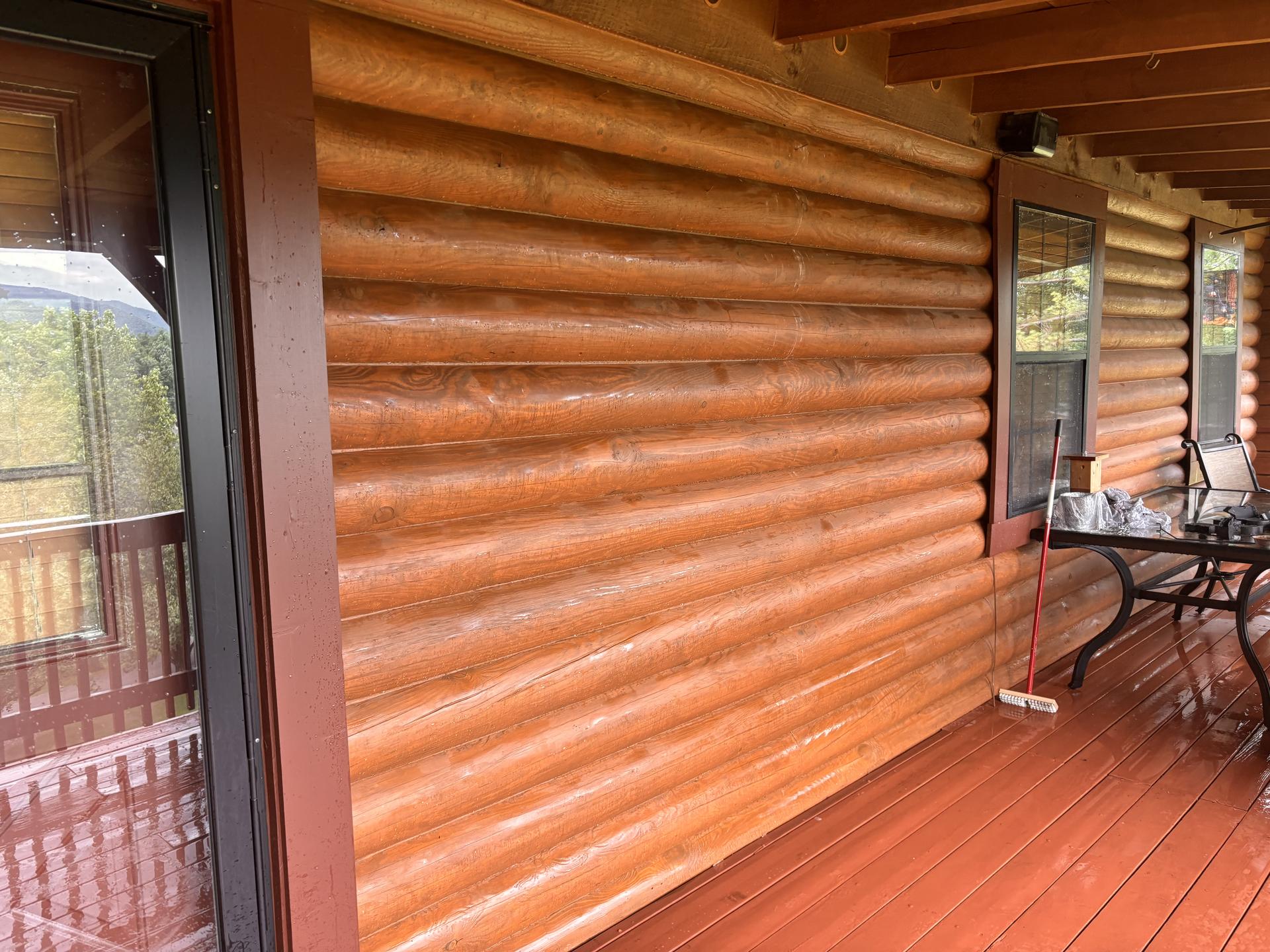 CABIN STAINING - Image 20